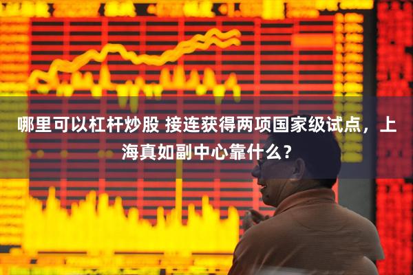 哪里可以杠杆炒股 接连获得两项国家级试点，上海真如副中心靠什么？